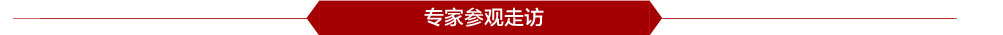 专家参观走访
